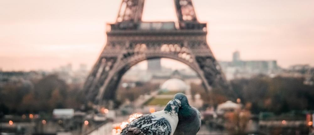 Paris éternellement romantique pour votre Saint-Valentin