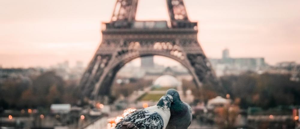 Eternally romantic Paris for your Valentine's Day